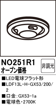 NO251R1