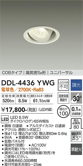 DDL-4436YWG