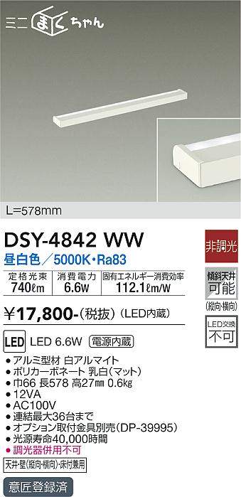DSY-4842WW