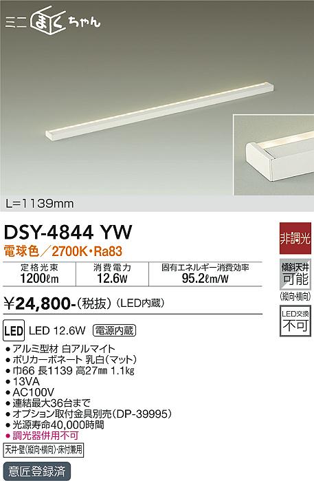 DSY-4844YW