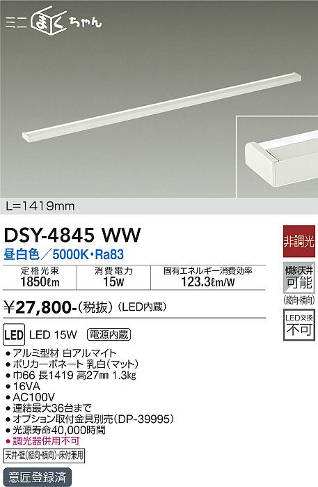 DSY-4845WW