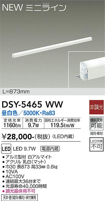 DSY-5465WW