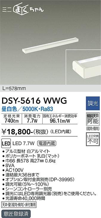 DSY-5616WWG