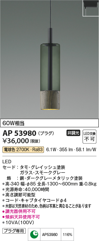 AP53980 | 照明器具 | LEDペンダントライト Smoke×GW Minimal Rustic