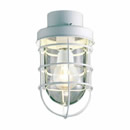 ML30137-01装飾照明 LEDシーリングライト 本体マックスレイ 照明器具 天井照明 要電気工事