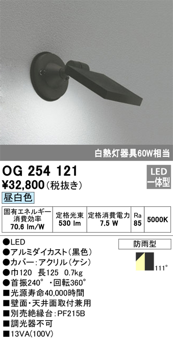 OG254121 照明器具 エクステリア LEDスポットライト 白熱灯器具60W相当昼白色 非調光 防雨型オーデリック 照明器具  アウトドアライト 表札灯 壁面・天井面取付兼用 タカラショップ