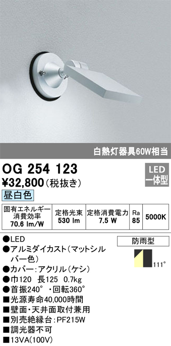 OG254123 照明器具 エクステリア LEDスポットライト 白熱灯器具60W相当昼白色 非調光 防雨型オーデリック 照明器具  アウトドアライト 表札灯 壁面・天井面取付兼用 タカラショップ