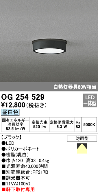 OG254529 | 照明器具 | ☆エクステリア 軒下用LED小型シーリングライト 