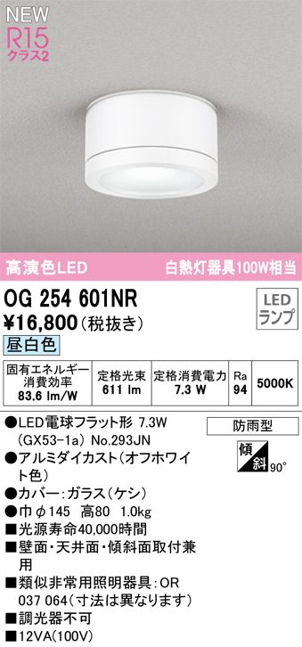 OG254601NR 照明器具 エクステリア LEDポーチライト 白熱灯器具100W相当R15高演色 クラス2 昼白色 非調光オーデリック  照明器具 屋外用 玄関灯 壁面・天井面・傾斜面取付兼用 タカラショップ