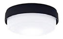 LGB51513LE1LEDシーリングライト 昼白色 直付60形電球1灯相当 拡散タイプ 非調光Panasonic 照明器具 天井照明