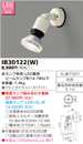 IB30122(W)アウトドアライト LEDビーム球用スポットライト壁面専用 ランプ別売東芝ライテック 照明器具 屋外用照明
