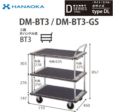 DM-BT3-DX-GS