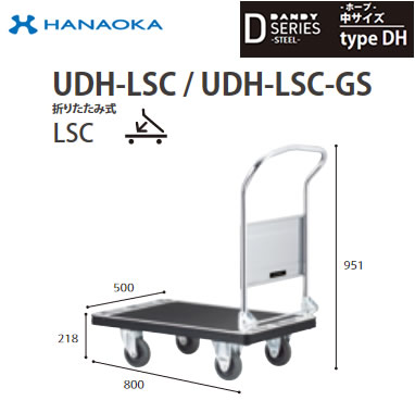UDH-LSC-GS