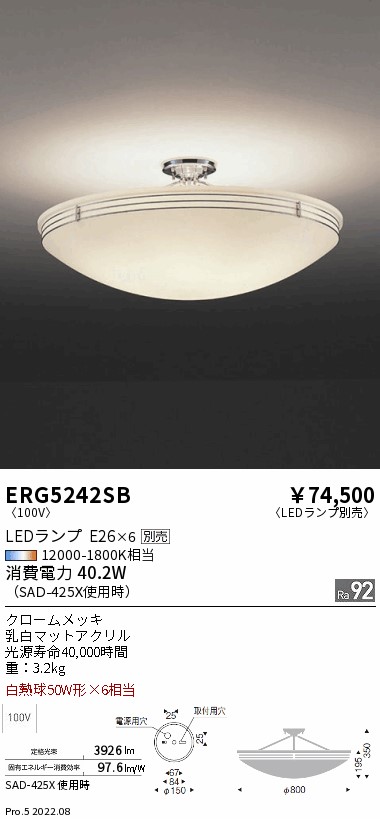 遠藤 ERG5619B