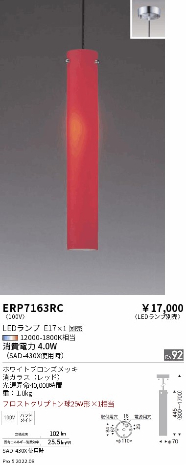 ERP7163RC