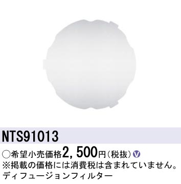 NTS91013
