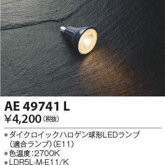AE49741L